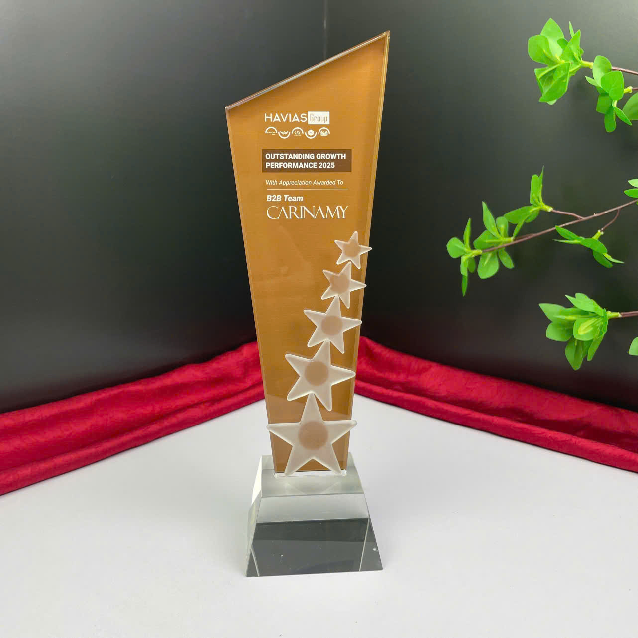 Kỷ Niệm Chương 50